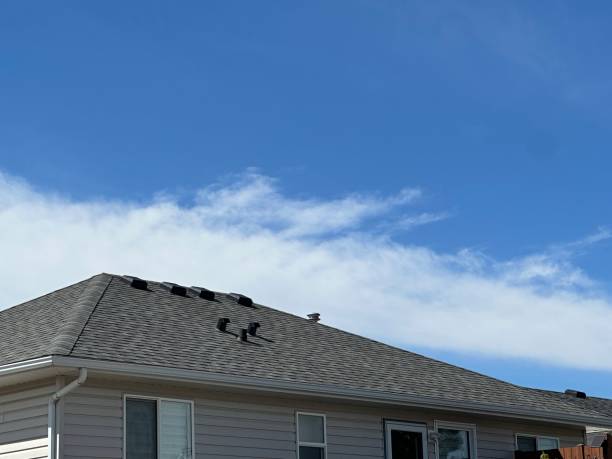 Best Commercial Roofing Services  in Greenville, TX